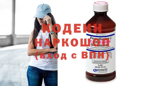 индика Киренск