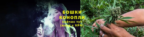 индика Киренск