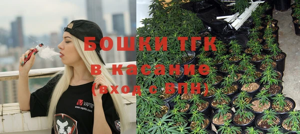 дурь Кодинск