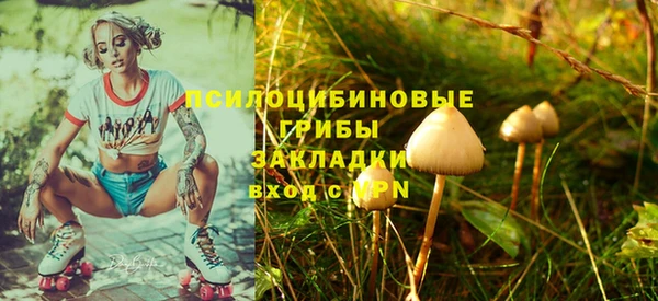 молекула духа Киреевск