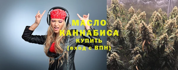 индика Киренск
