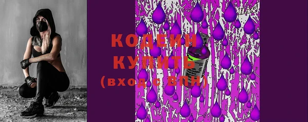 молекула духа Киреевск