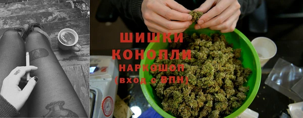 молекула духа Киреевск