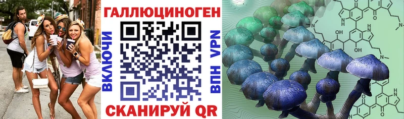 Галлюциногенные грибы Psilocybine cubensis  Кудымкар 